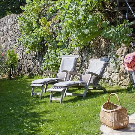 La Colline De Vence