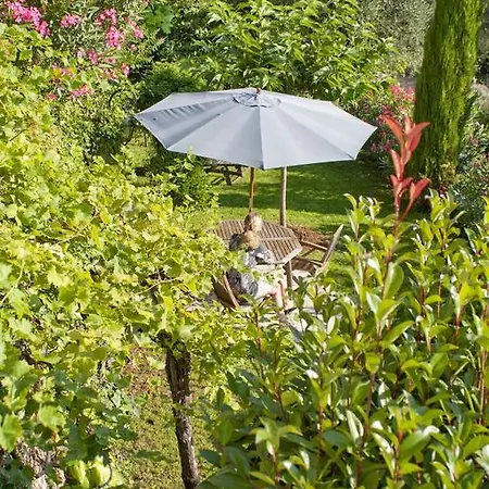 La Colline De Bed & Breakfast Vence
